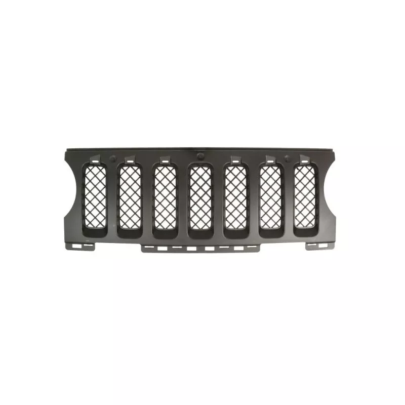 Grille de radiateur BLIC 6502-07-3219991P