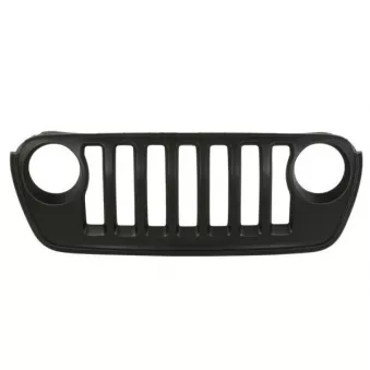 Grille de radiateur BLIC 6502-07-3256995P