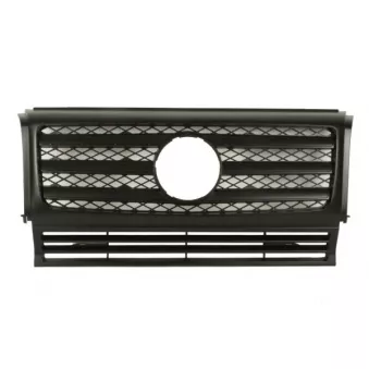 Grille de radiateur BLIC 6502-07-3501995P