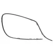 Baguette et bande protectrice, pare-chocs avant gauche BLIC 6502-07-3510923P - Visuel 1