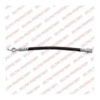 Flexible de frein DELPHI