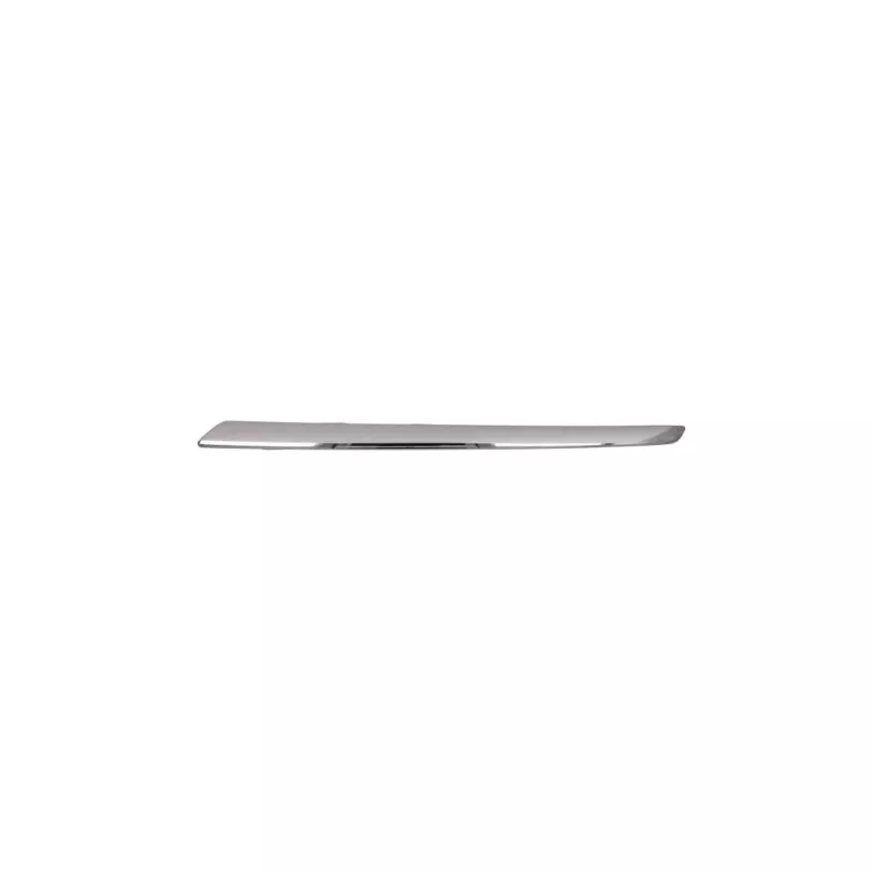 Baguette et bande protectrice, grille de radiateur BLIC 6502-07-3583993P
