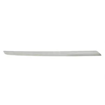 Baguette et bande protectrice, grille de radiateur BLIC 6502-07-3583994P