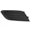 Grille de ventilation, pare-chocs BLIC 6502-07-5029913P - Visuel 1