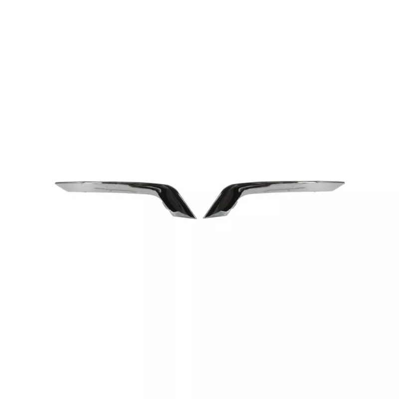 Baguette et bande protectrice, pare-chocs BLIC 6502-07-6013970P