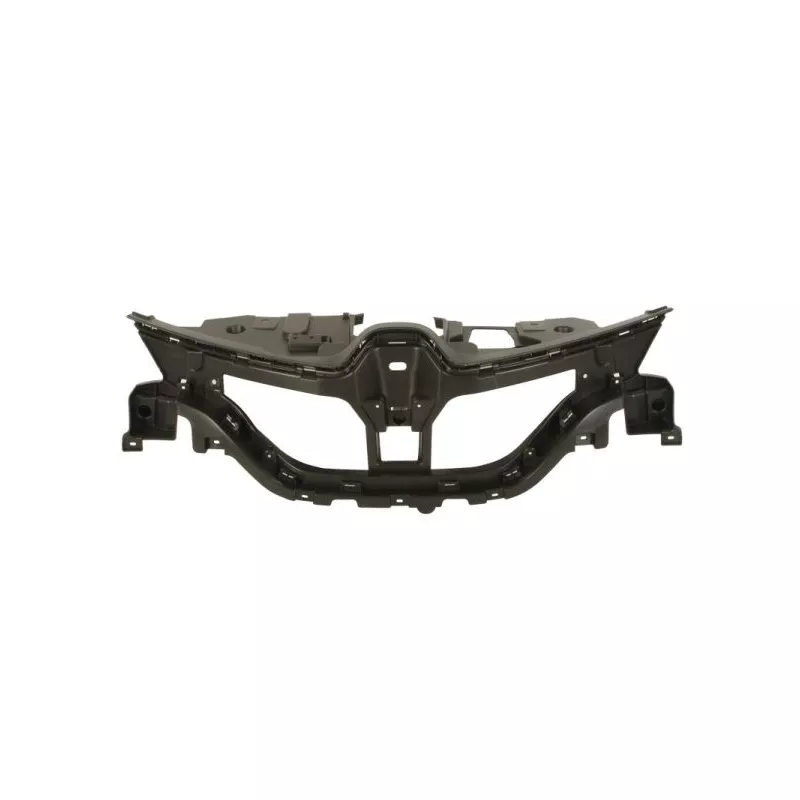 Grille de radiateur BLIC 6502-07-6013992P