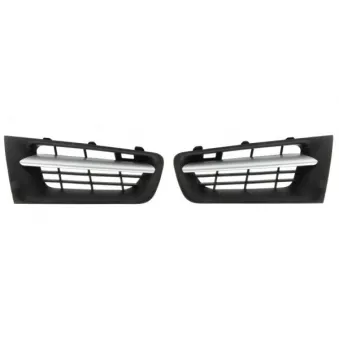 Grille de radiateur BLIC 6502-07-6041995Q