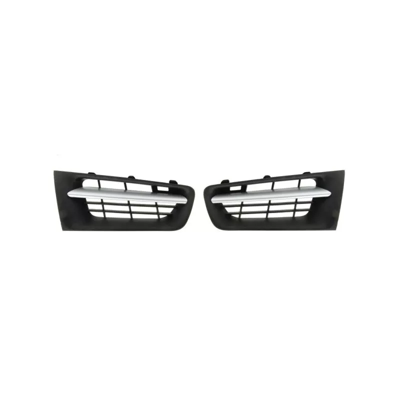 Grille de radiateur BLIC 6502-07-6041995Q