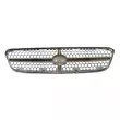 Grille de radiateur BLIC 6502-07-6813994K - Visuel 2