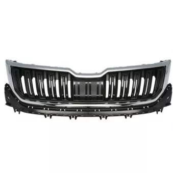 Grille de radiateur BLIC 6502-07-7528991P