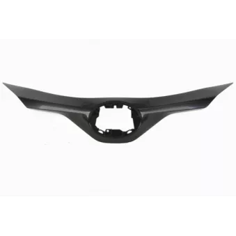Grille de radiateur BLIC 6502-07-8182992P