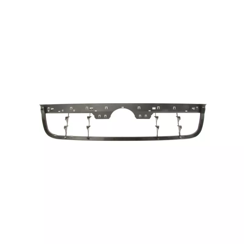 Support, grille de radiateur BLIC 6502-07-9542996K