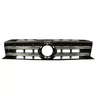Grille de radiateur BLIC 6502-07-9595991P