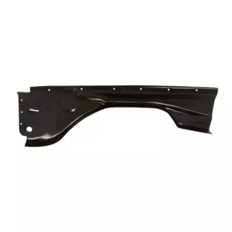 Doublure d'aile avant droit BLIC 6504-02-3525422K