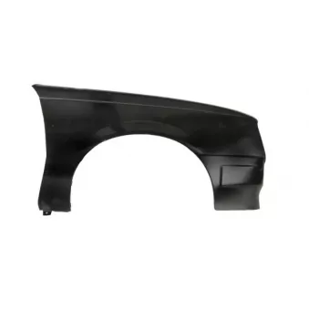 Aile avant droit BLIC 6504-04-5075312K
