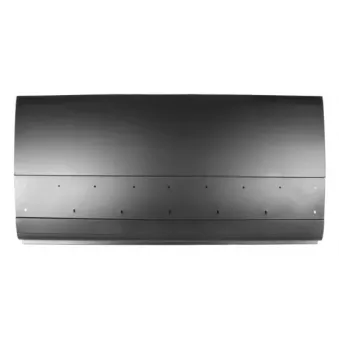 Panneau latéral BLIC 6505-06-2097011K