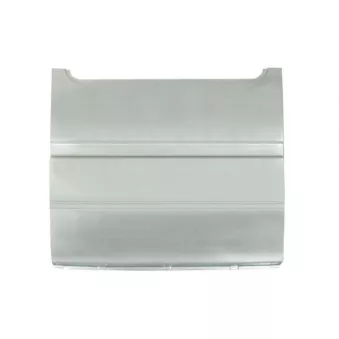 Panneau latéral BLIC 6505-06-2515011K