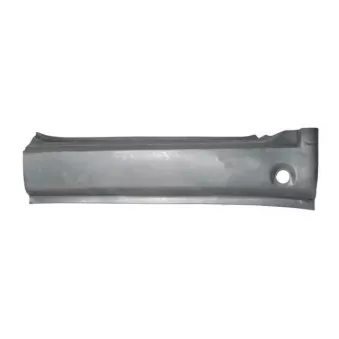 Plaque de seuil avant droit BLIC 6505-06-3541002K