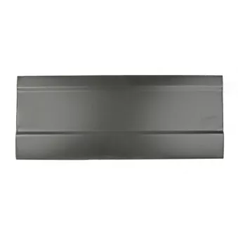 Panneau latéral BLIC 6505-06-3545011K