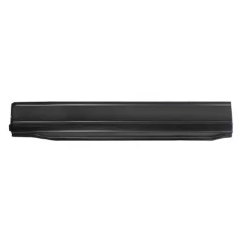 Panneau latéral BLIC 6505-06-9558001K