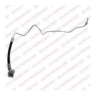 Flexible de frein DELPHI