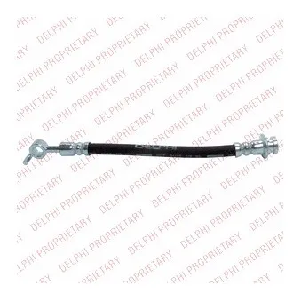 Flexible de frein DELPHI