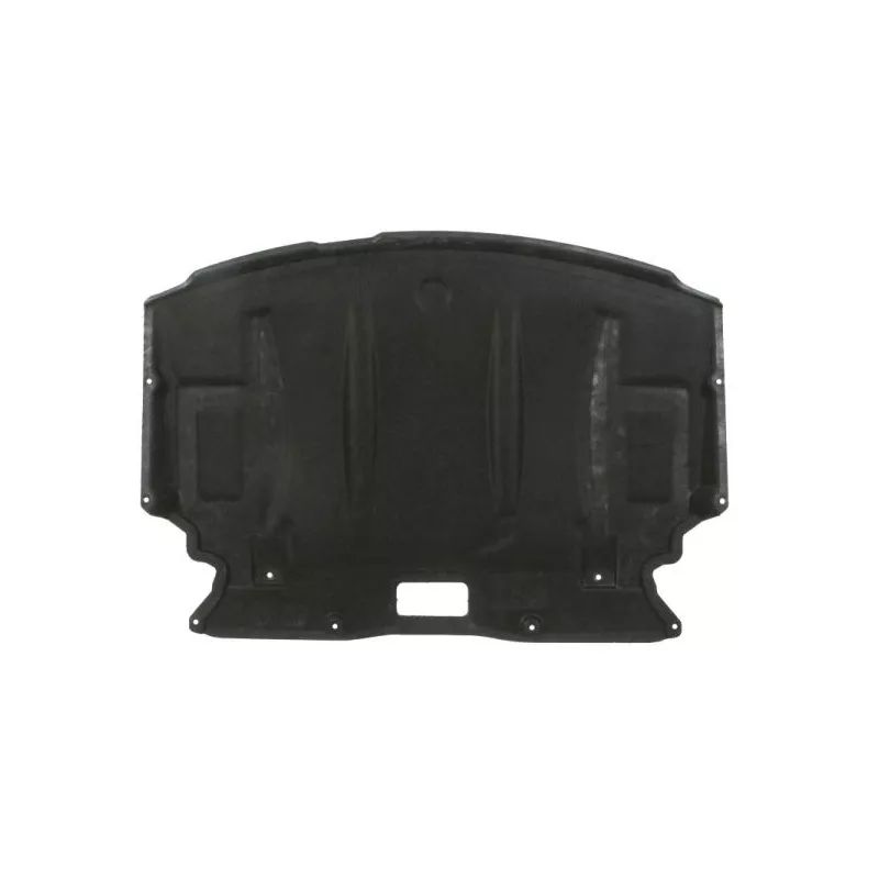 Cache moteur BLIC 6601-05-0000035P