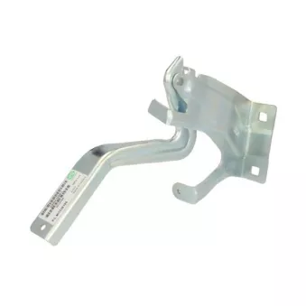 Charnière, capot-moteur BLIC 6802-00-1602453P