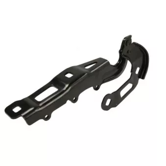 Charnière, capot-moteur BLIC 6802-00-2537451P