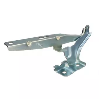 Charnière, capot-moteur BLIC 6802-00-9508451P