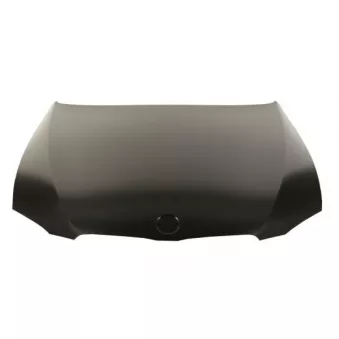 Capot-moteur BLIC 6803-00-0062284P
