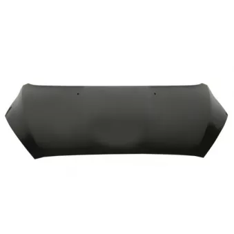 Capot-moteur BLIC 6803-00-2596280AP