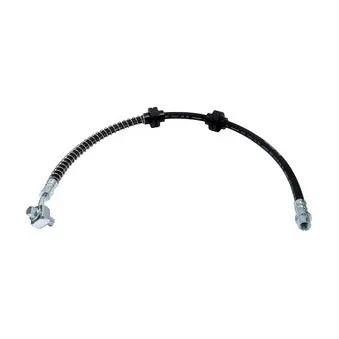 Flexible de frein DELPHI LH6874