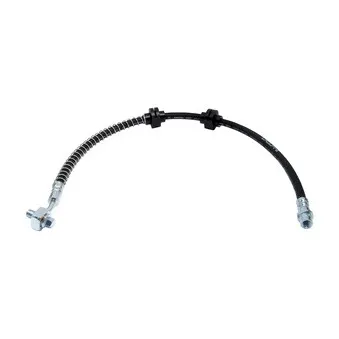 Flexible de frein DELPHI LH6875