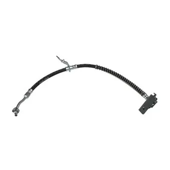 Flexible de frein DELPHI