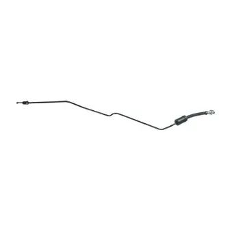 Flexible de frein DELPHI LH6903
