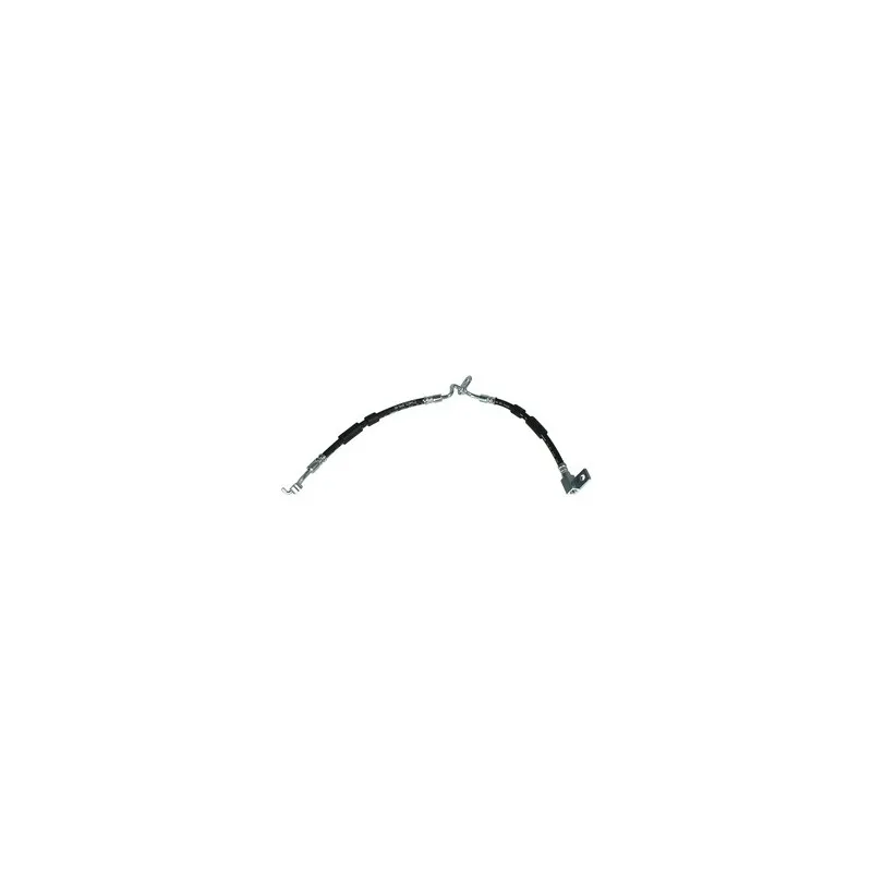 Flexible de frein DELPHI LH6918