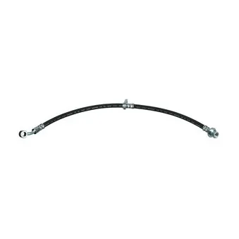 Flexible de frein DELPHI