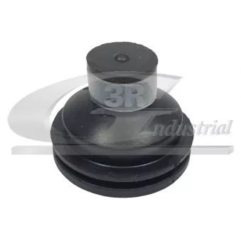 Fixation cache moteur 3RG 81653