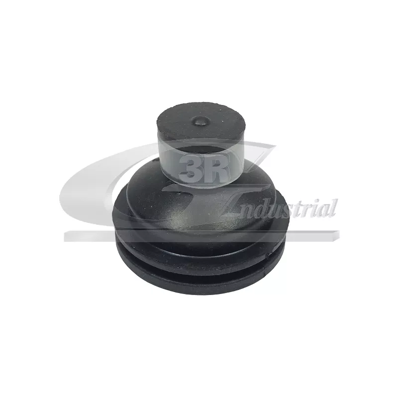 Fixation cache moteur 3RG 81653