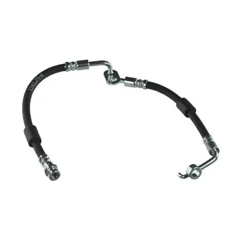 Flexible de frein DELPHI