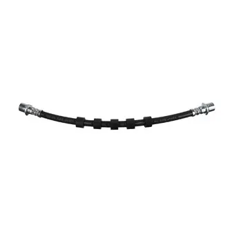 Flexible de frein DELPHI