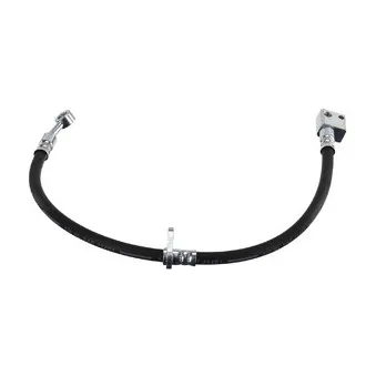 Flexible de frein DELPHI