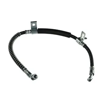 Flexible de frein DELPHI