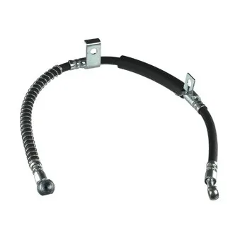 Flexible de frein DELPHI