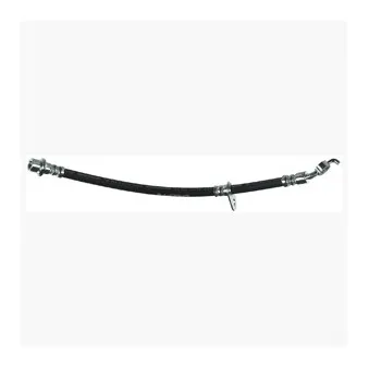 Flexible de frein DELPHI