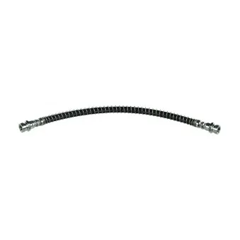 Flexible de frein DELPHI