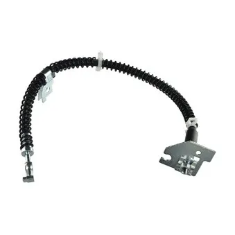 Flexible de frein DELPHI