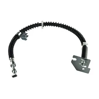 Flexible de frein DELPHI