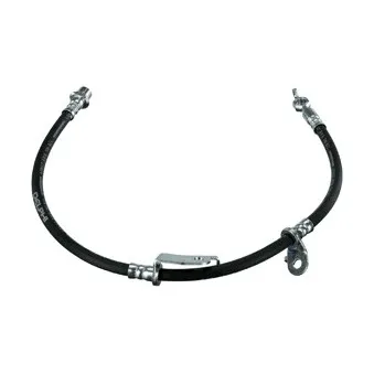 Flexible de frein DELPHI
